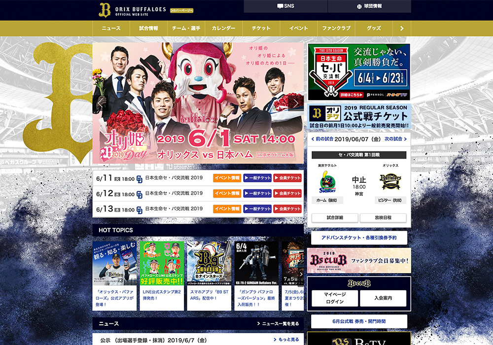 プロ野球ポスター、パンフレット、web などのデザイン