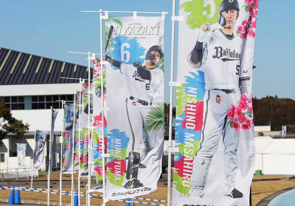 プロ野球の球場装飾、ロゴ、パンフレットなどのデザイン